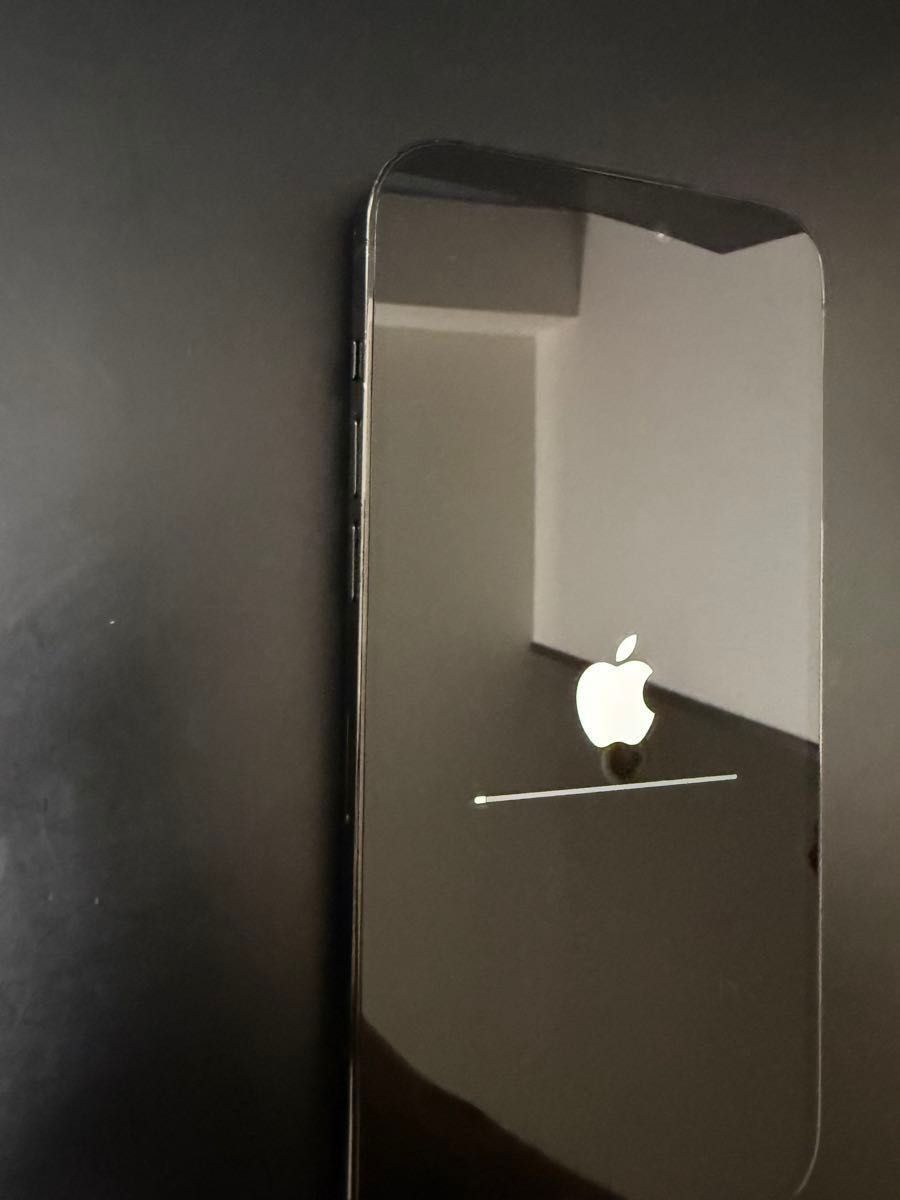iPhone 14 Pro Max 512GB スペースブラック|Yahoo!フリマ(旧 iPhone 14 Pro Max 512GB スペースブラック|Yahoo!フリマ(旧
