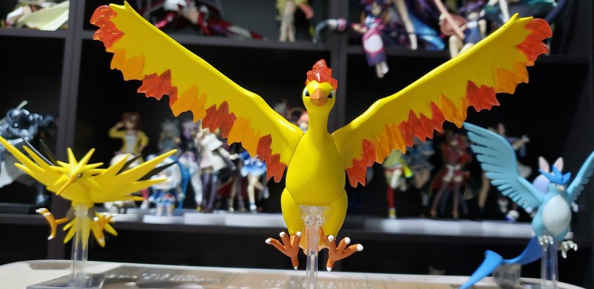 箱なし ポケモンスケールワールド カントー地方 フリーザー 箱なし ポケモンスケールワールド カントー地方 フリーザー