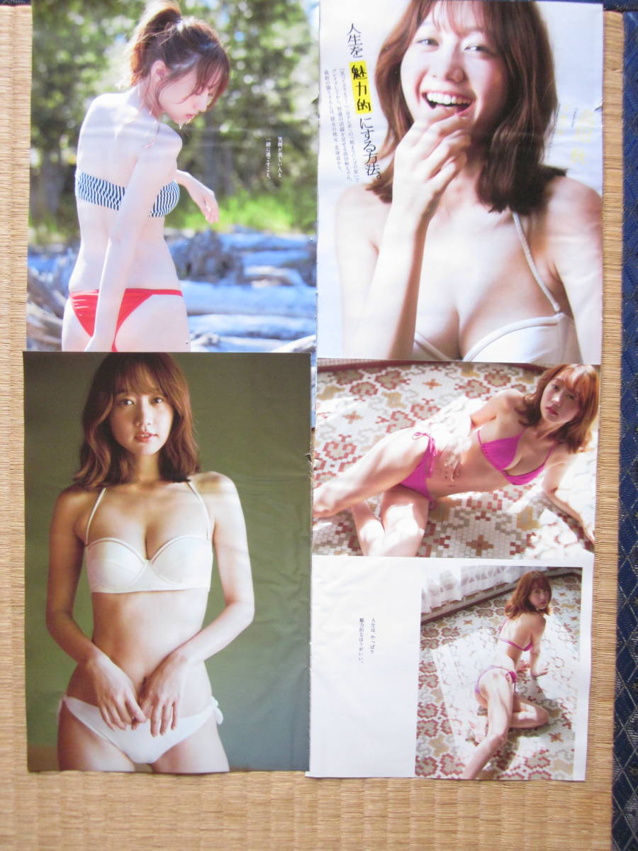 ヤフオク 高田秋 vv160 ヤフオク 高田秋 vv160