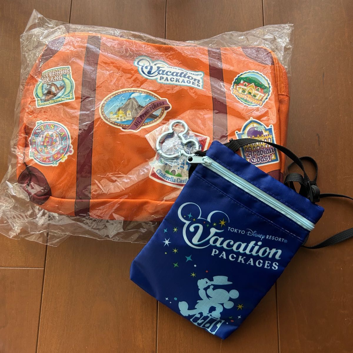ディズニー バケーションパッケージ ブランケット ショルダー ディズニー バケーションパッケージ ブランケット ショルダー