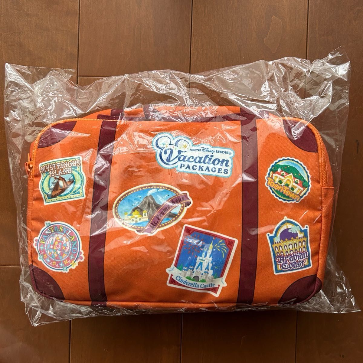 ディズニー バケーションパッケージ ブランケット ショルダー ディズニー バケーションパッケージ ブランケット ショルダー