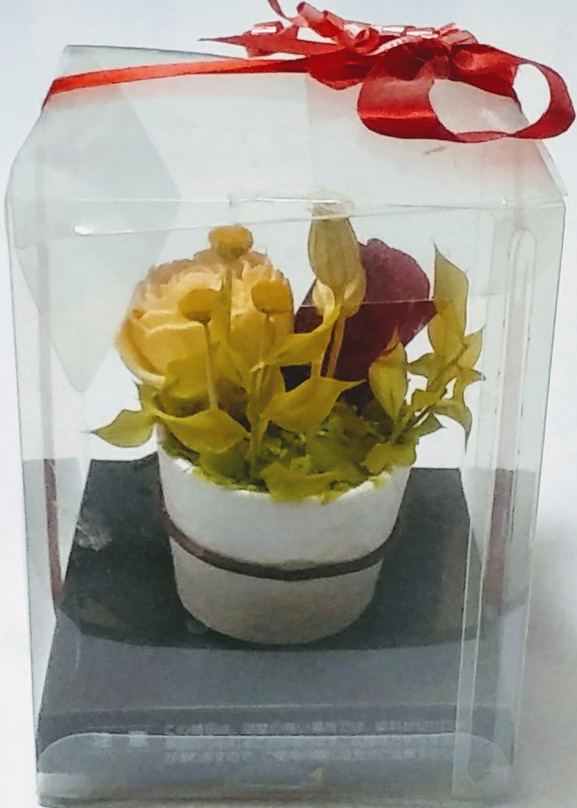 * preserved flower rose, tulip | sending 300