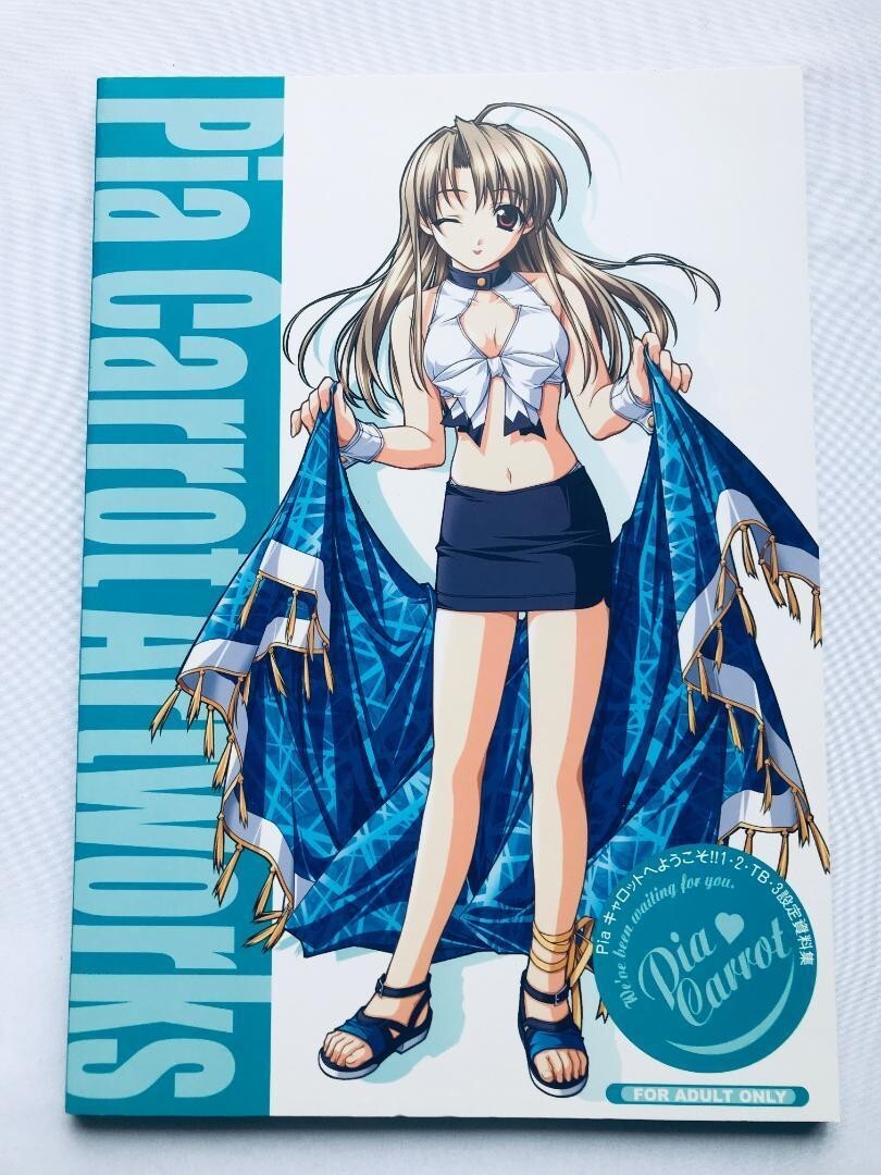 美少女系RPG攻略本セット ライザのアトリエ3 ザコンプリート 美少女系RPG攻略本セット ライザのアトリエ3 ザコンプリート