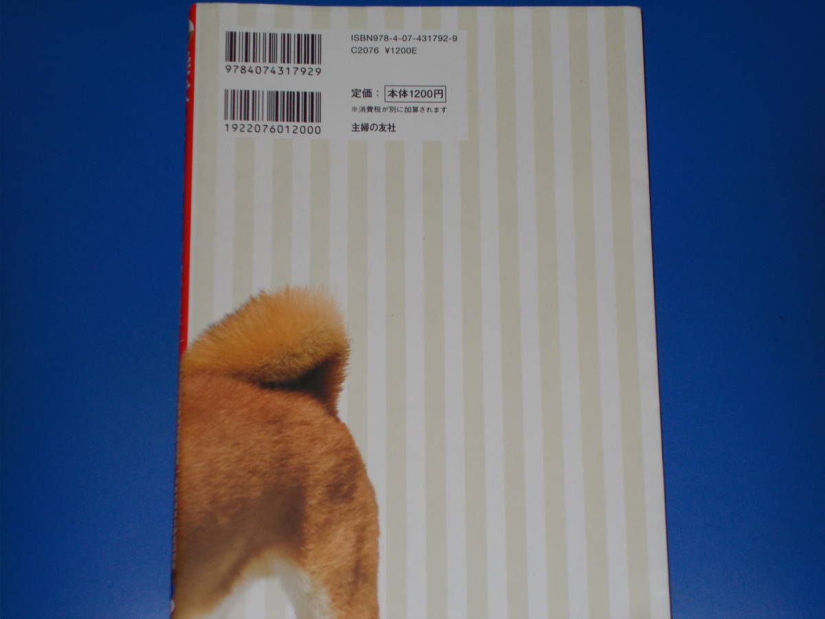 . dog. feeling ... person . understand book@*.... line moving ... newest approach!* Kato origin (..)* rock . peace Akira (..)* corporation ... . company *