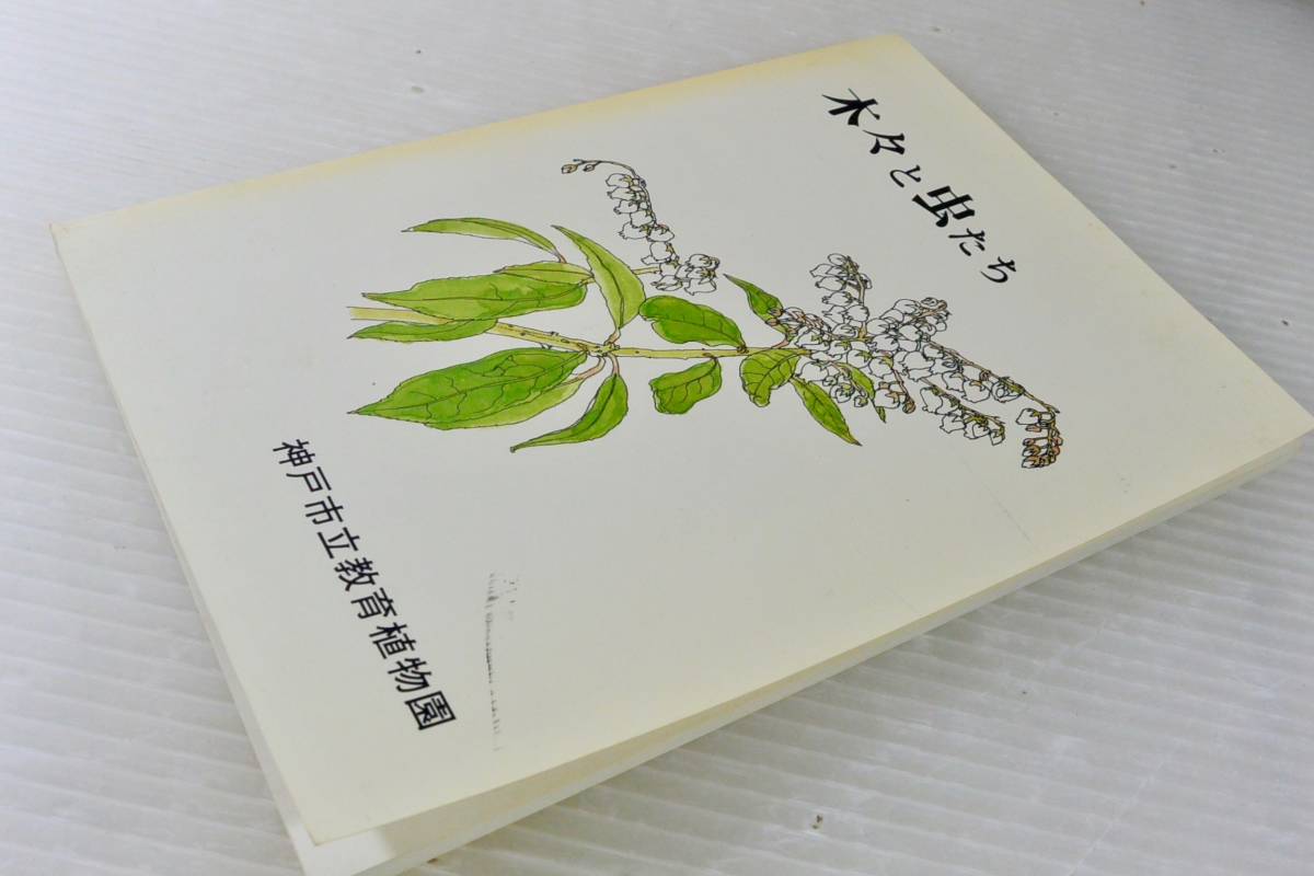 木々と虫たち 神戸市立教育植物園　1983年　神戸　六甲山　絵/三宅慎也_画像1