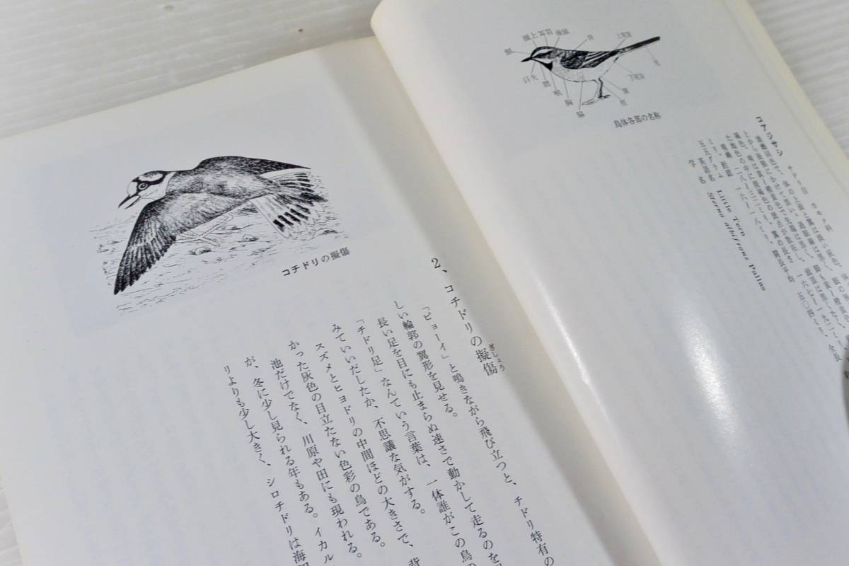 『神戸の野鳥観察記　神戸の自然6』　加藤昌宏 神戸市立教育研究所　昭和56年_画像6