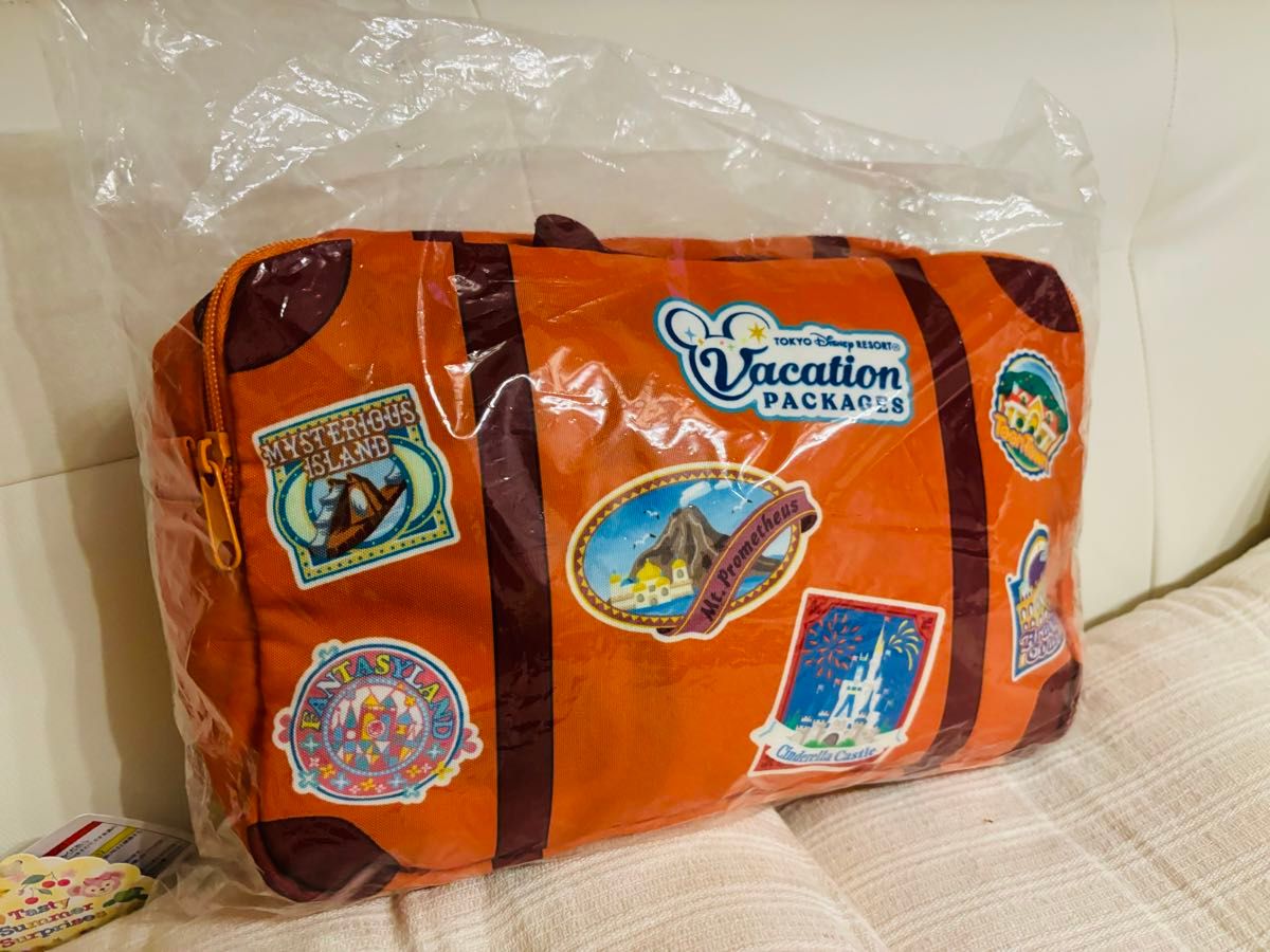 新品 ディズニー バケーションパッケージ ブランケット バケパ 新品 ディズニー バケーションパッケージ ブランケット バケパ