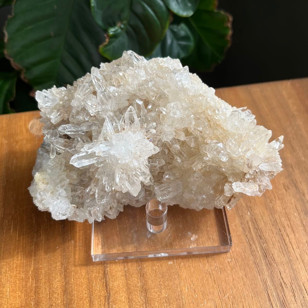 天然石 四川省産 菊花水晶クラスター160g|Yahoo!フリマ(旧 天然石 四川省産 菊花水晶クラスター160g|Yahoo!フリマ(旧