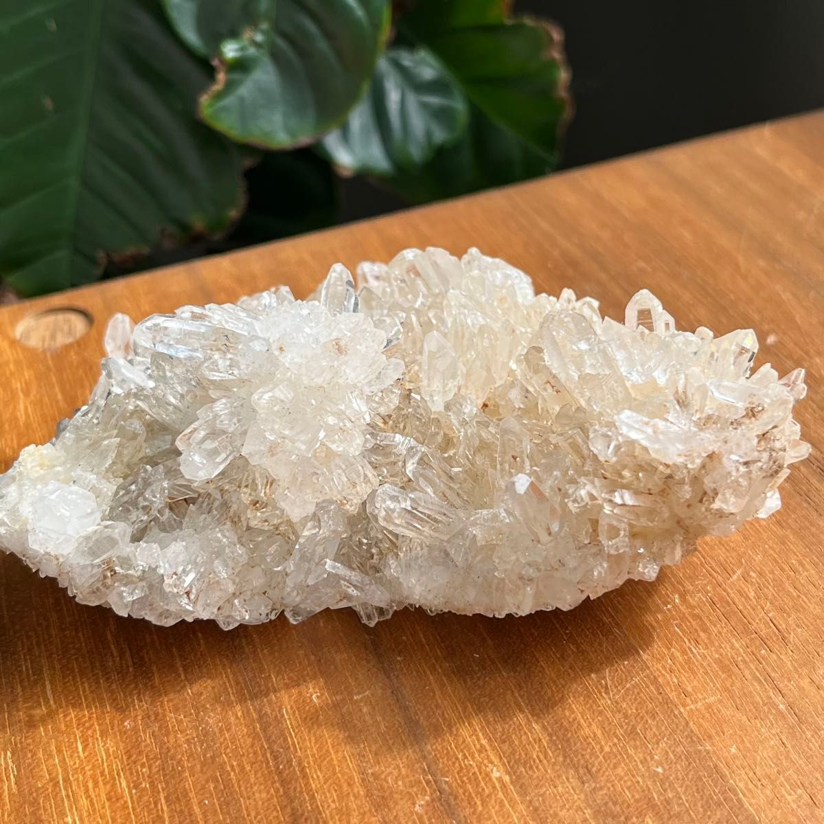 天然石 四川省産 菊花水晶クラスター160g|Yahoo!フリマ(旧 天然石 四川省産 菊花水晶クラスター160g|Yahoo!フリマ(旧