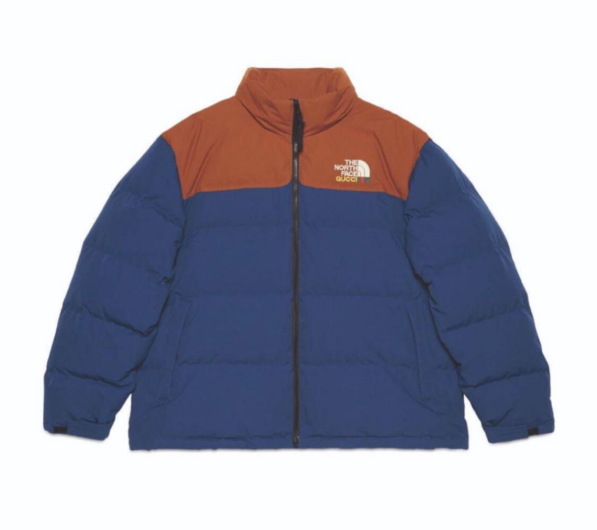GUCCI THE NORTH FACE ザノースフェイス ダウンジャケット GUCCI THE NORTH FACE ザノースフェイス ダウンジャケット