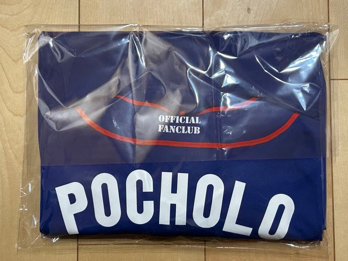 中日ドラゴンズ ライデル・マルティネス POCHOLO ファンクラブ 中日ドラゴンズ ライデル・マルティネス POCHOLO ファンクラブ