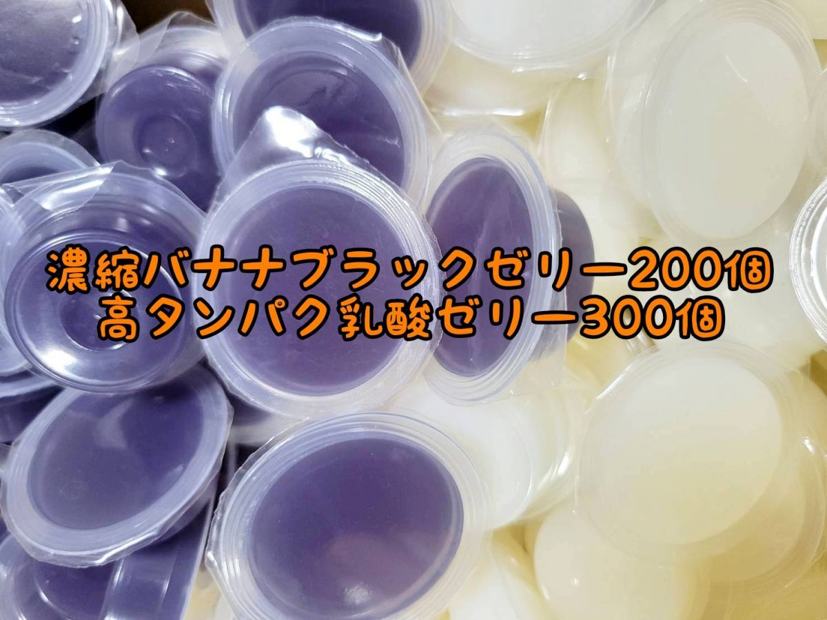 濃縮バナナブラックゼリー200個16g 高タンパク乳酸ゼリー300個 フジコン 昆虫ゼリー オオクワ カブトムシ ハリネズミ ハムスター 小動物