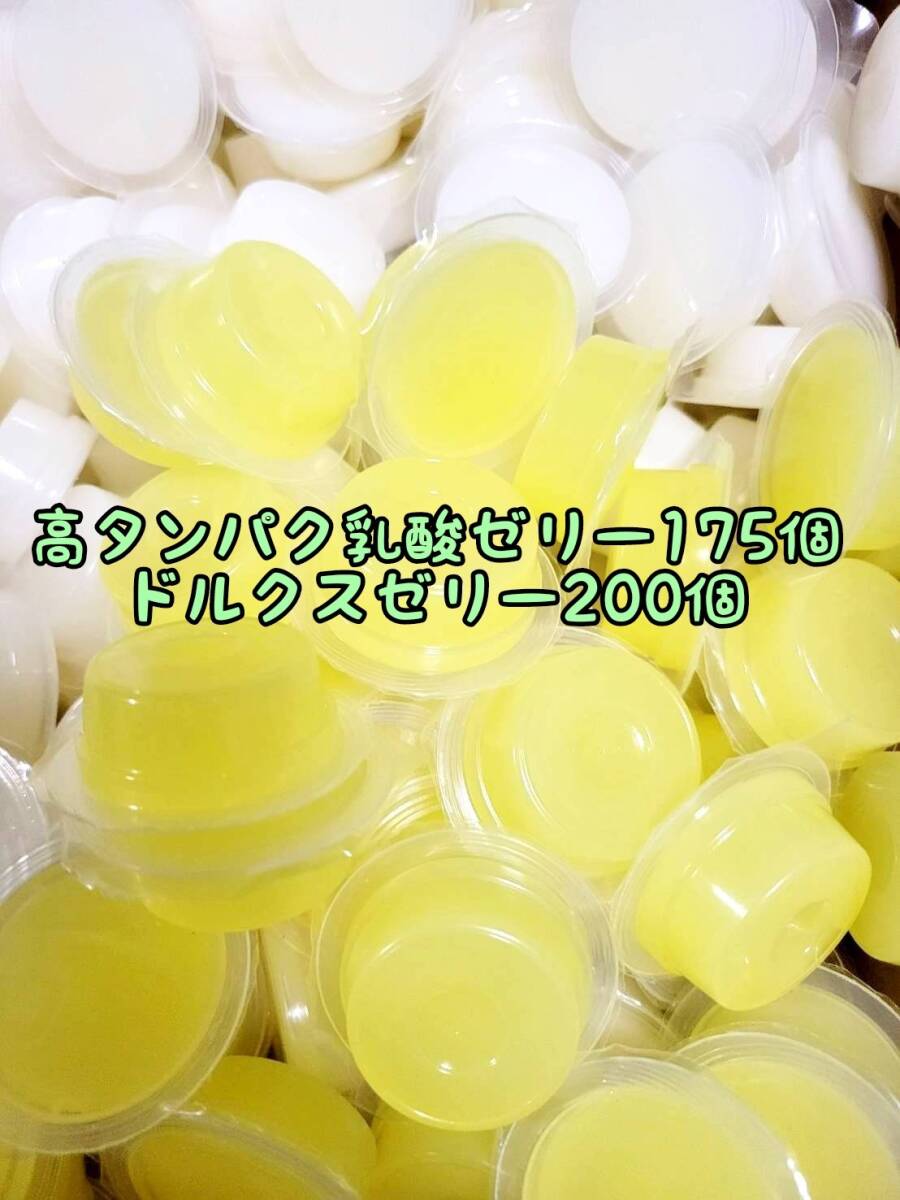 高タンパク乳酸ゼリー175個 ドルクスゼリー200個 ワイドS16g フジコン 昆虫ゼリー オオクワ カブトムシ ハリネズミ ハムスター 小動物