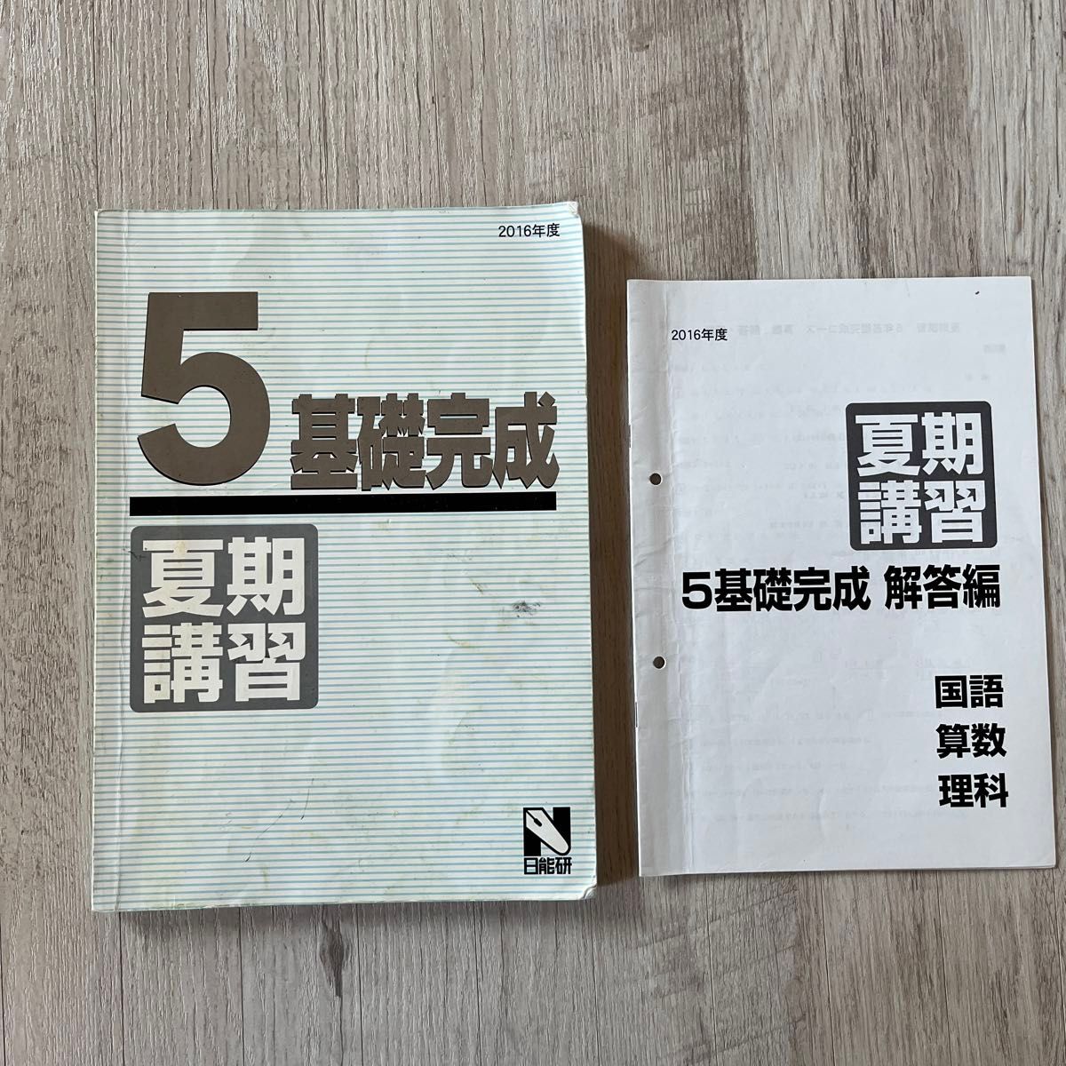 日能研 5 基礎完成 夏期講習 テキスト 算数 理科 国語 問題集 本 日能研 5 基礎完成 夏期講習 テキスト 算数 理科 国語 問題集 本