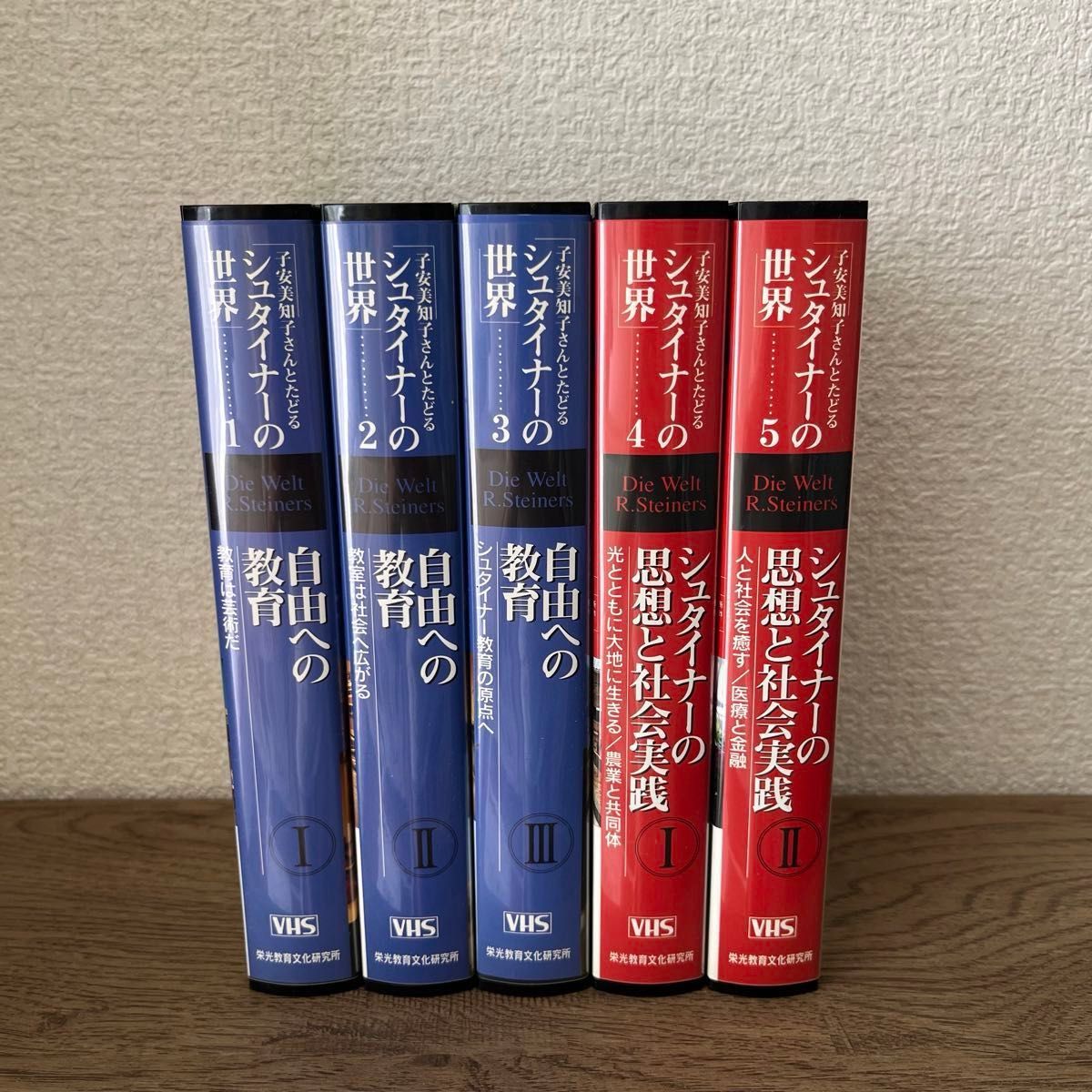 【レア✨】子安美知子さんとたどる シュタイナーの世界 VHS 全5巻セット Amazon.co.jp: レア子安美知子さんとたどる シュタイナーの世界