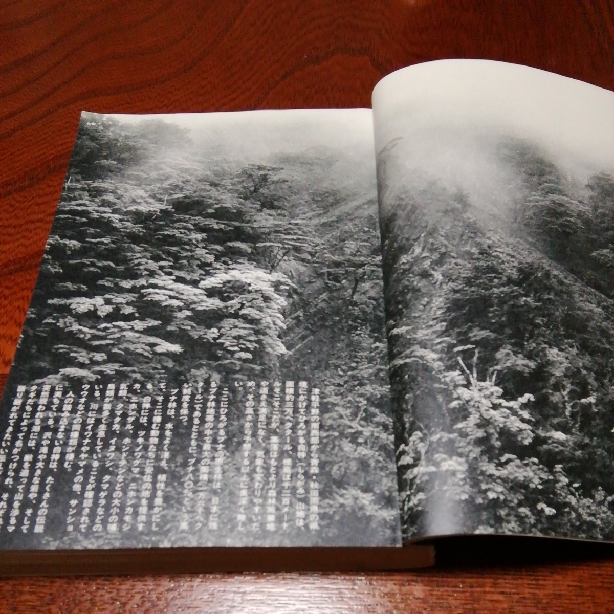 「世界　特集地球汚染　創刊40年記念　1985年３月号」岩波書店_画像6