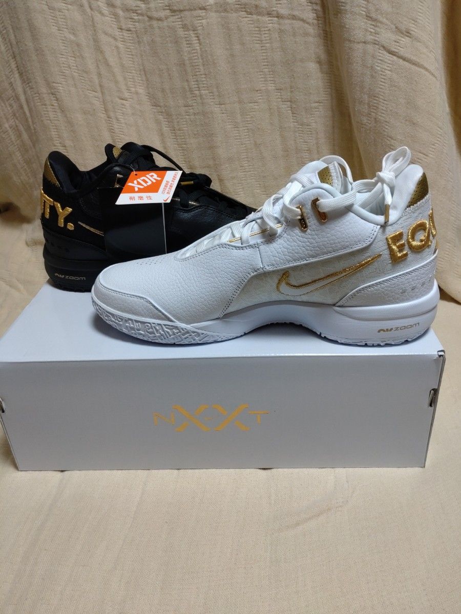ZM Lebron NXXT Gen Ampd EP Equality FJ1567-103 28 5CM NIKE ZM Lebron NXXT Gen Ampd EP Equality FJ1567-103 28 5CM NIKE