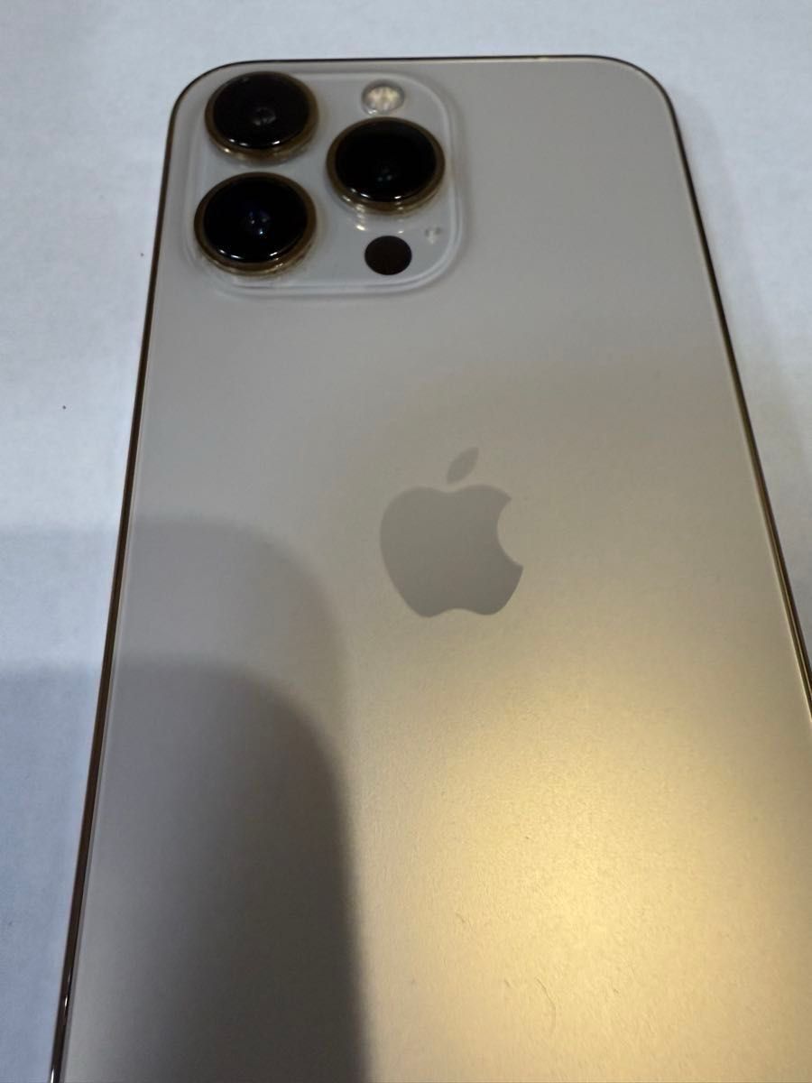 Apple iPhone 13 Pro ゴールド (MLUH3J/A) 付属品 バッテリー Apple iPhone 13 Pro ゴールド (MLUH3J/A) 付属品 バッテリー