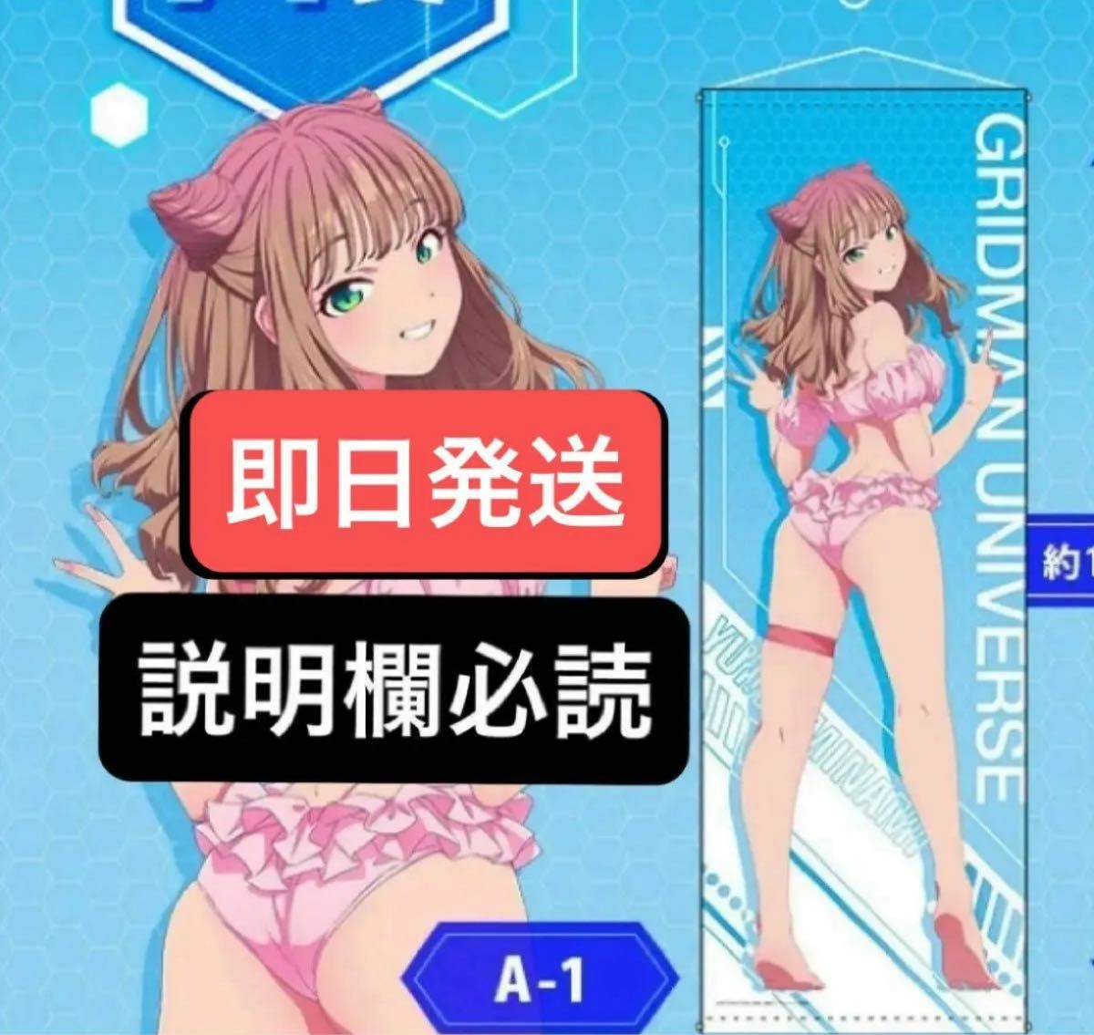 本日削除 くじメイト どこプラ グリッドマンユニバース A賞 A-1 本日削除 くじメイト どこプラ グリッドマンユニバース A賞 A-1