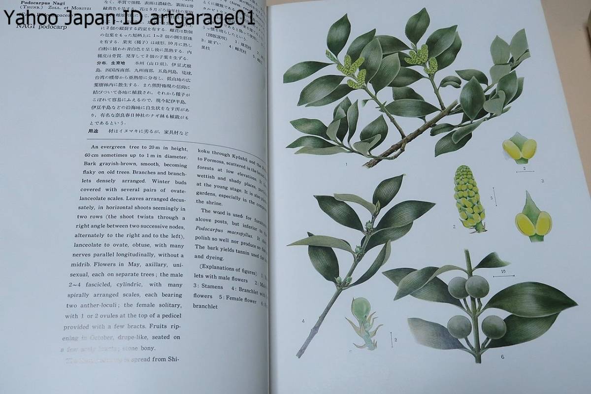 Yahoo!オークション - 日本林業樹木図鑑・5冊/林業に従事し林学 Yahoo!オークション - 日本林業樹木図鑑・5冊/林業に従事し林学