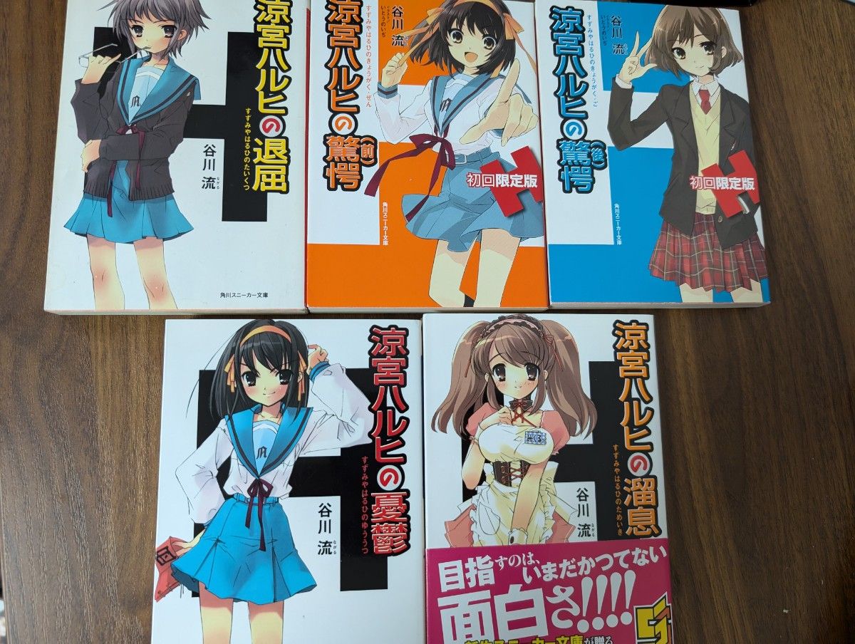 涼宮ハルヒの憂鬱 小説セット5冊 谷川流 涼宮ハルヒの憂鬱 小説セット5冊 谷川流