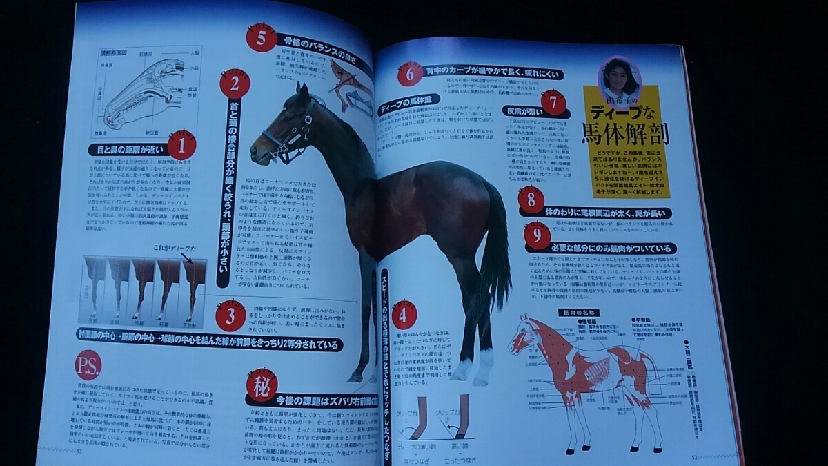 Gallop 臨時増刊 ディープインパクト 凱旋門賞応援完全ガイド Gallop 臨時増刊 ディープインパクト 凱旋門賞応援完全ガイド