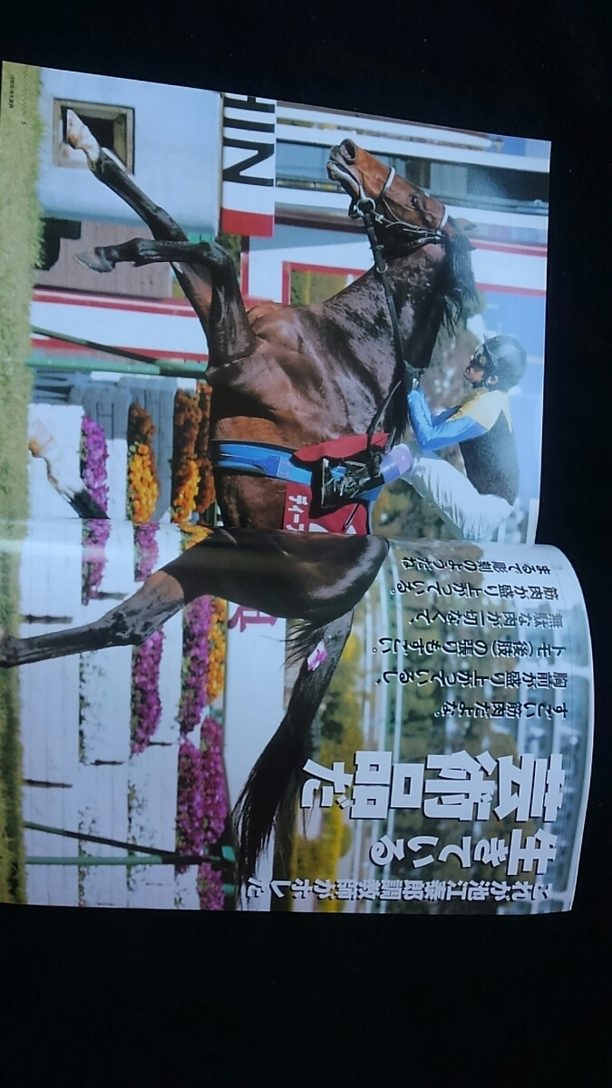 Gallop 臨時増刊 ディープインパクト 凱旋門賞応援完全ガイド Gallop 臨時増刊 ディープインパクト 凱旋門賞応援完全ガイド