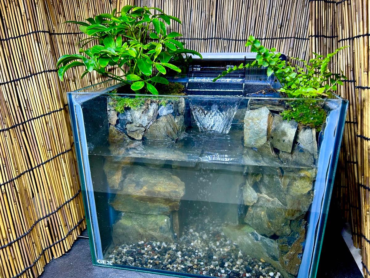 森 アクアテラリウム 水槽 完成品 オールガラス