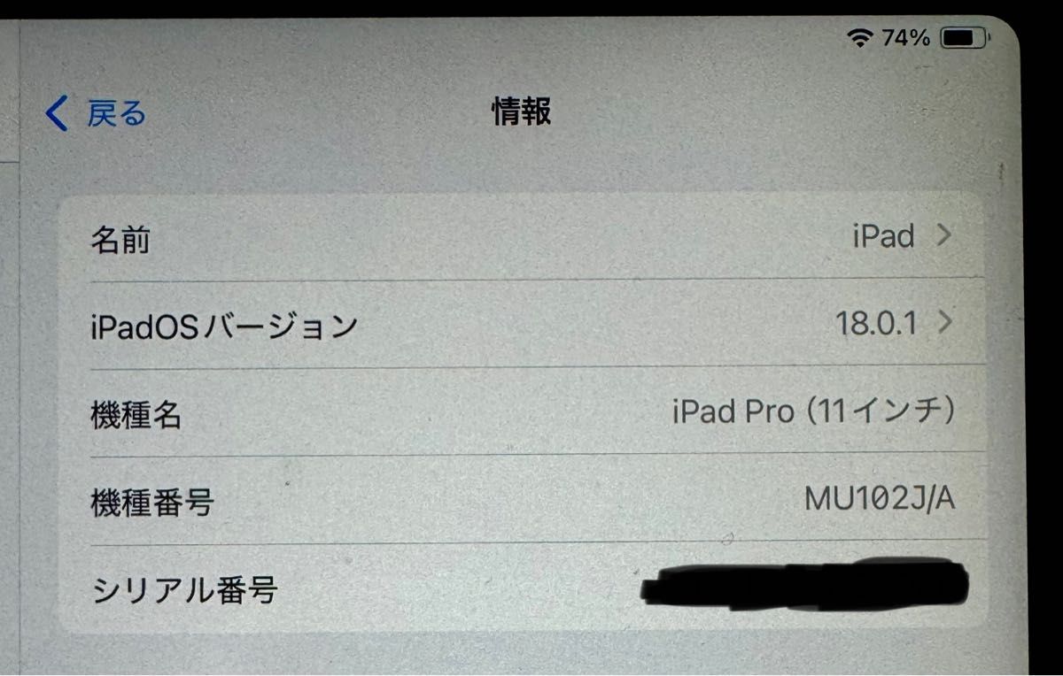 訳あり iPad Pro 11インチ 第1世代 256GB スペースグレイ MU102J 訳あり iPad Pro 11インチ 第1世代 256GB スペースグレイ MU102J