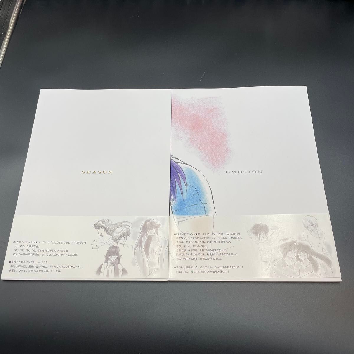 希少】まつもと泉 図録「SEASON」「EMOTION」2冊セット 直筆 希少】まつもと泉 図録「SEASON」「EMOTION」2冊セット 直筆