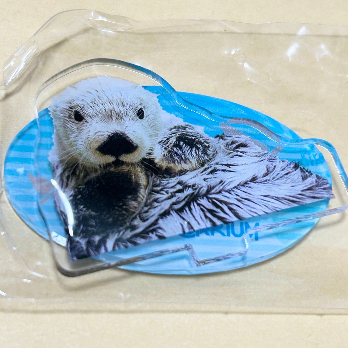 鳥羽水族館 ラッコ キラ メイ パネルスタンド アクスタ グッズ