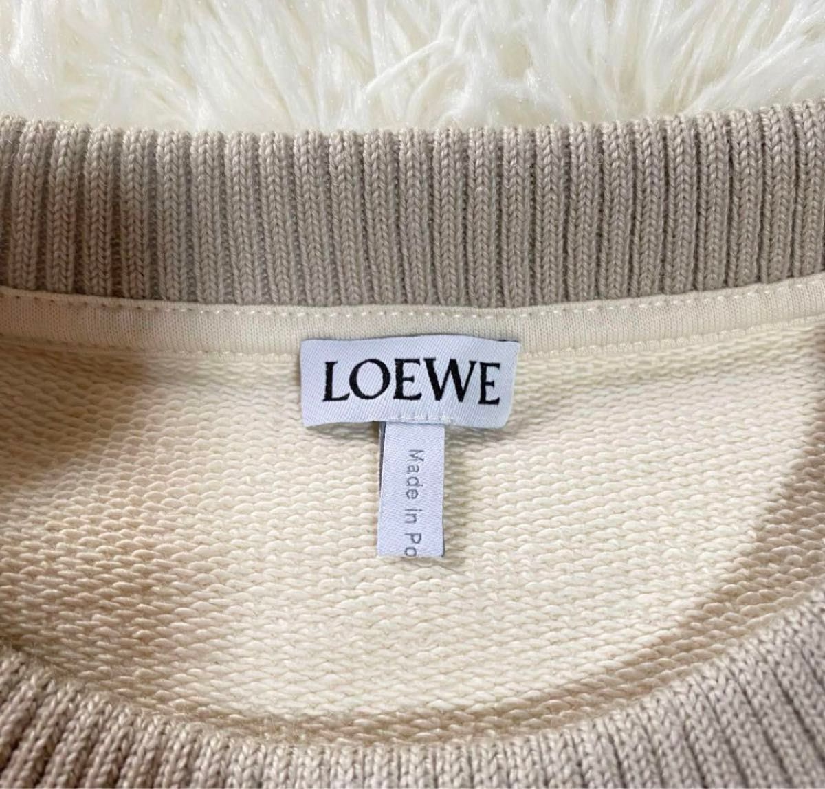 タグ付 新品未使用LOEWE ロエベ ハーバリウムアナグラム タグ付 新品未使用LOEWE ロエベ ハーバリウムアナグラム