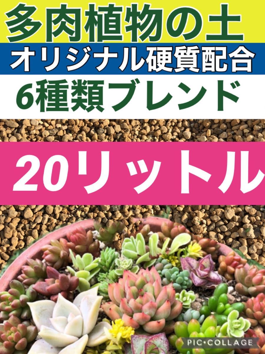 多肉植物の土20リットル アガベ塊根エケベリアサボテンの土 多肉植物の土20リットル アガベ塊根エケベリアサボテンの土