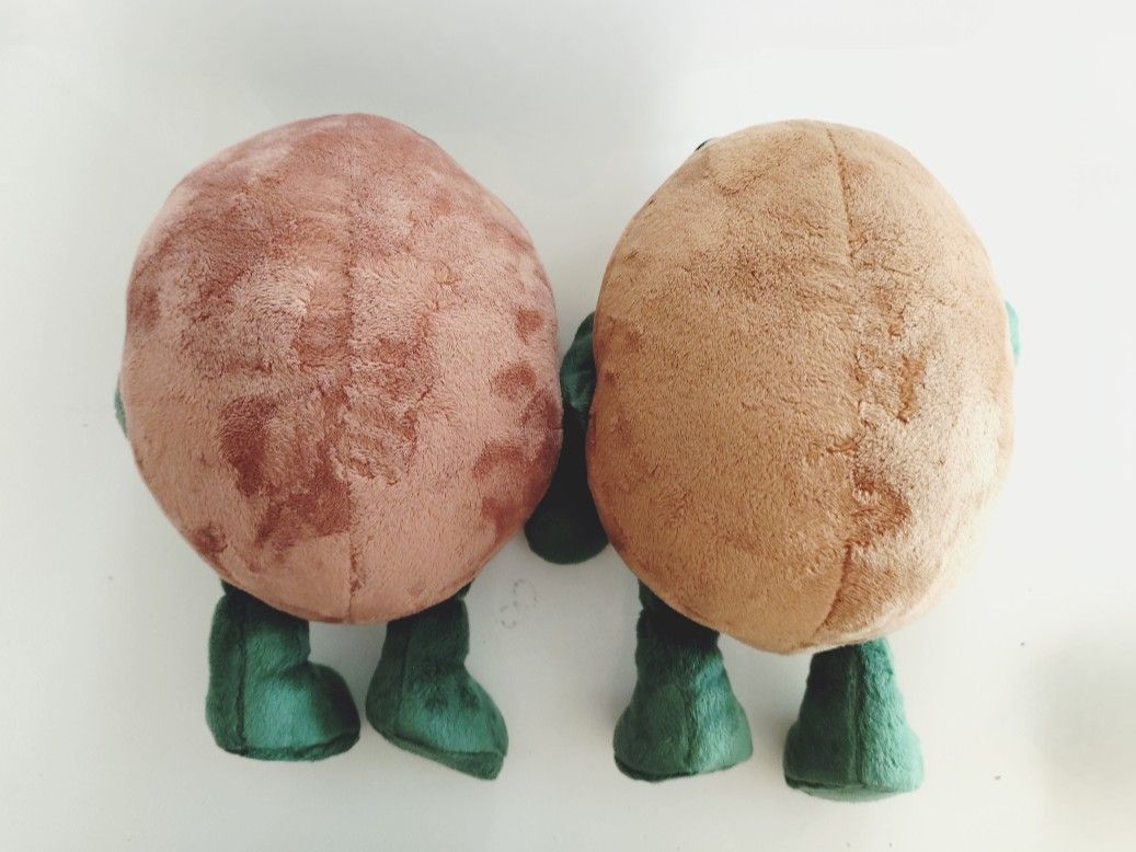 キウイブラザーズ ゼスプリ ぬいぐるみ中 新ロゴ|Yahoo!フリマ キウイブラザーズ ゼスプリ ぬいぐるみ中 新ロゴ|Yahoo!フリマ