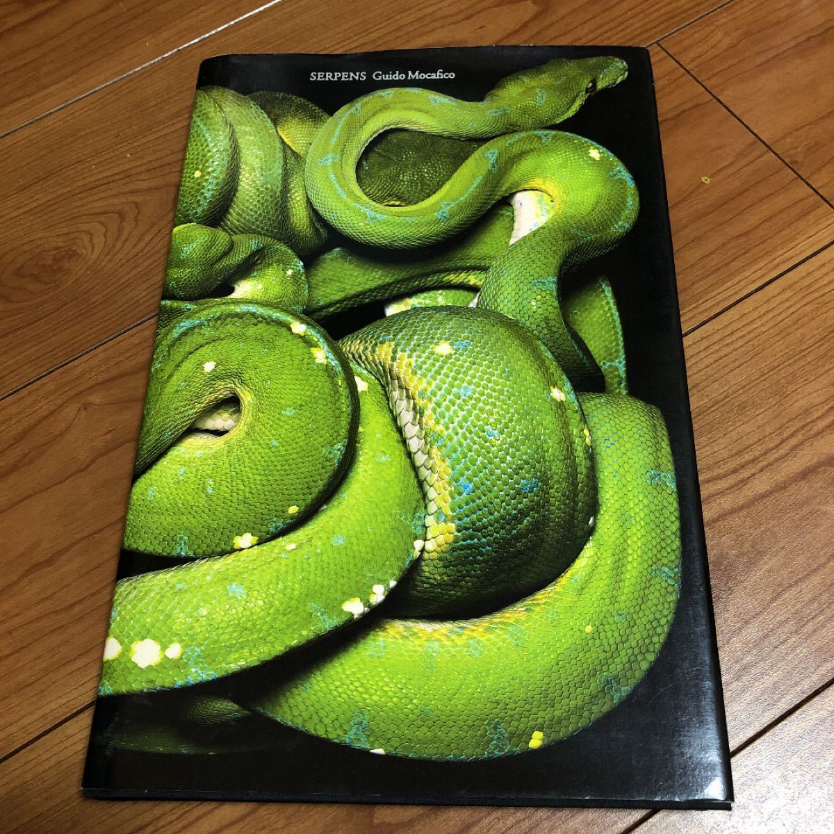 Guido Mocafico Serpens ハードカバー / 爬虫類 蛇 ヘビ