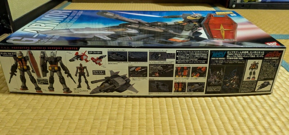 Gアーマー リアルタイプカラー (1/100スケール MG 機動戦士 Gアーマー リアルタイプカラー (1/100スケール MG 機動戦士