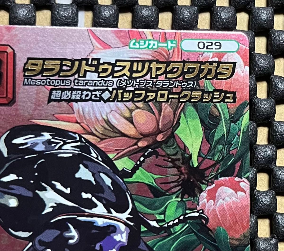 ムシキング カード 5周年 タランドゥスツヤクワガタ 緑バー ムシキング カード 5周年 タランドゥスツヤクワガタ 緑バー