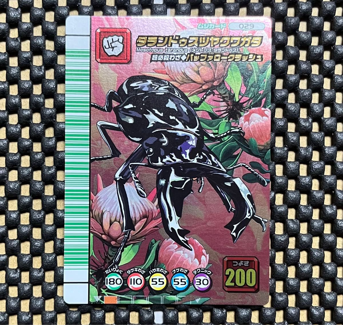 ムシキング カード 5周年 タランドゥスツヤクワガタ 緑バー ムシキング カード 5周年 タランドゥスツヤクワガタ 緑バー