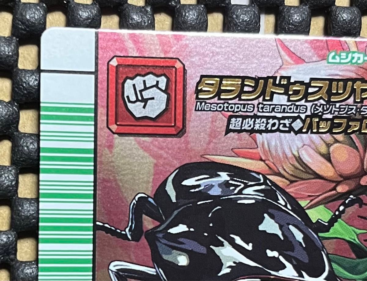 ムシキング カード 5周年 タランドゥスツヤクワガタ 緑バー ムシキング カード 5周年 タランドゥスツヤクワガタ 緑バー