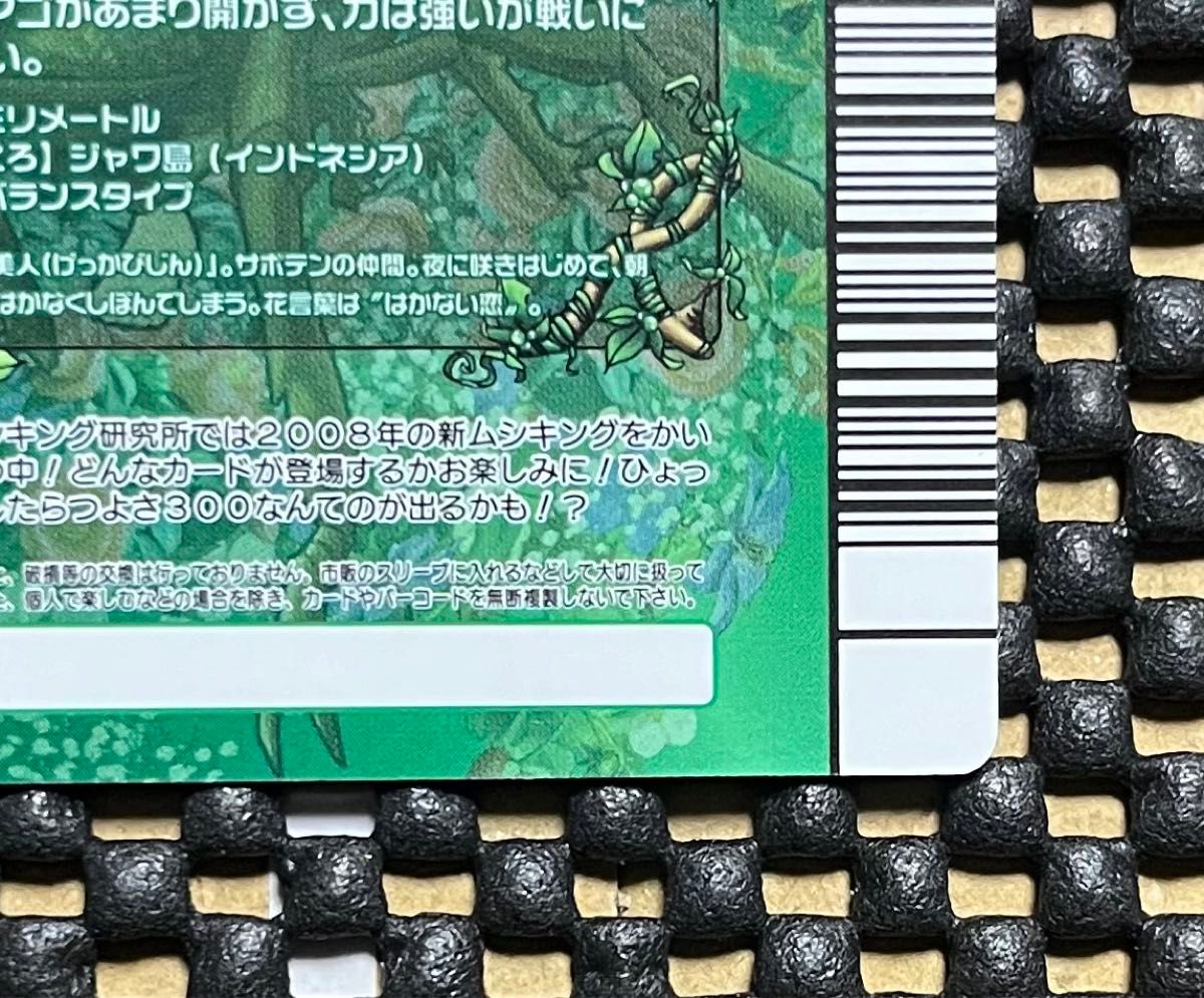 ムシキング カード 5周年 シークレット オウゴンオニクワガタ ムシキング カード 5周年 シークレット オウゴンオニクワガタ