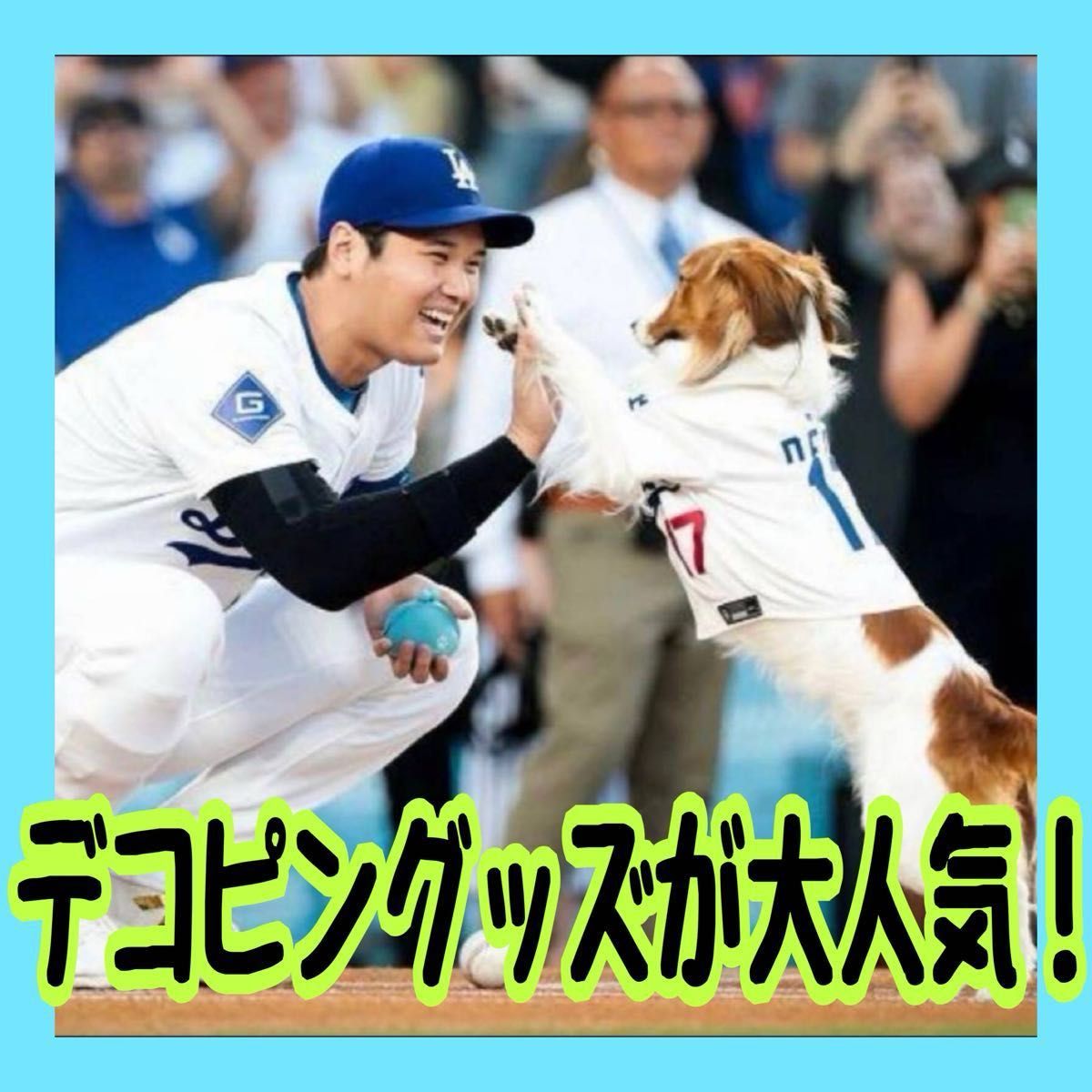 デコピン愛用　トリーツポーチ　大谷翔平選手愛用　おやつポーチ　トレーニングポーチ　コインケース　小物入れ　財布 シリコン