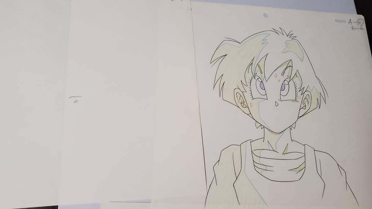 Yahoo!オークション - ドラゴンボールZ ビーデル セル画と動画 Yahoo!オークション - ドラゴンボールZ ビーデル セル画と動画