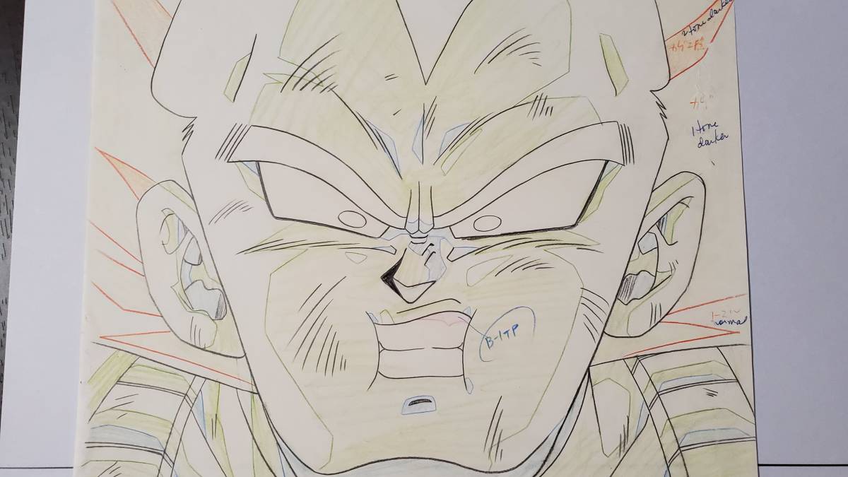  Dragon Ball Z super носорог ya человек Vegeta цифровая картинка . анимация Toriyama Akira 