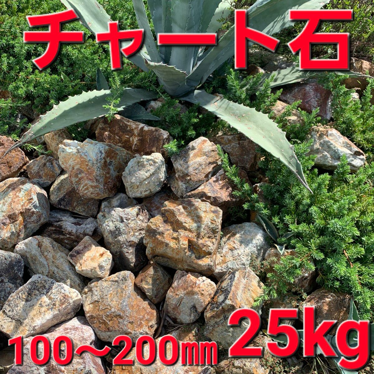 チャート石】 割栗石 岐阜石 ロックガーデン ドライガーデン 約 チャート石】 割栗石 岐阜石 ロックガーデン ドライガーデン 約