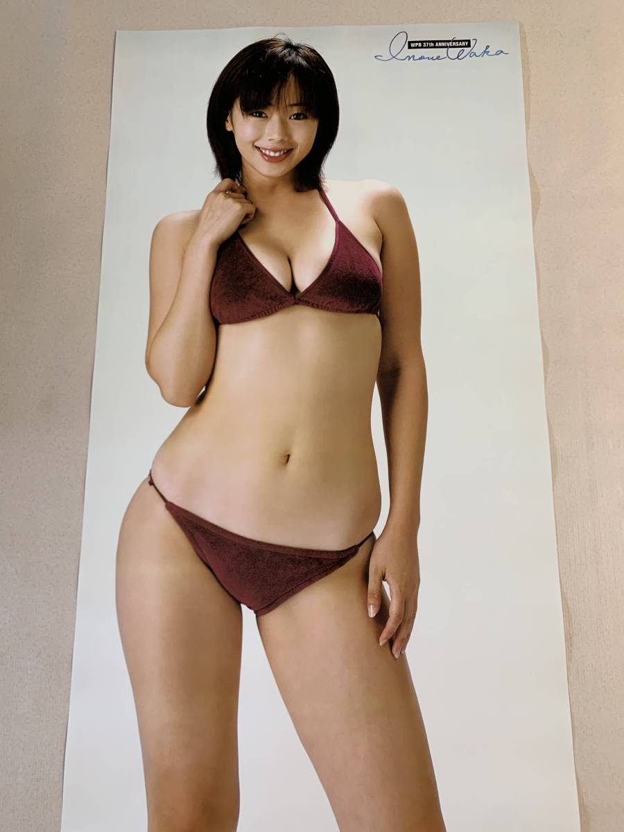 等身大ポスター 井上和香 週刊プレイボーイ　 応募者全員サービス品/元箱なし