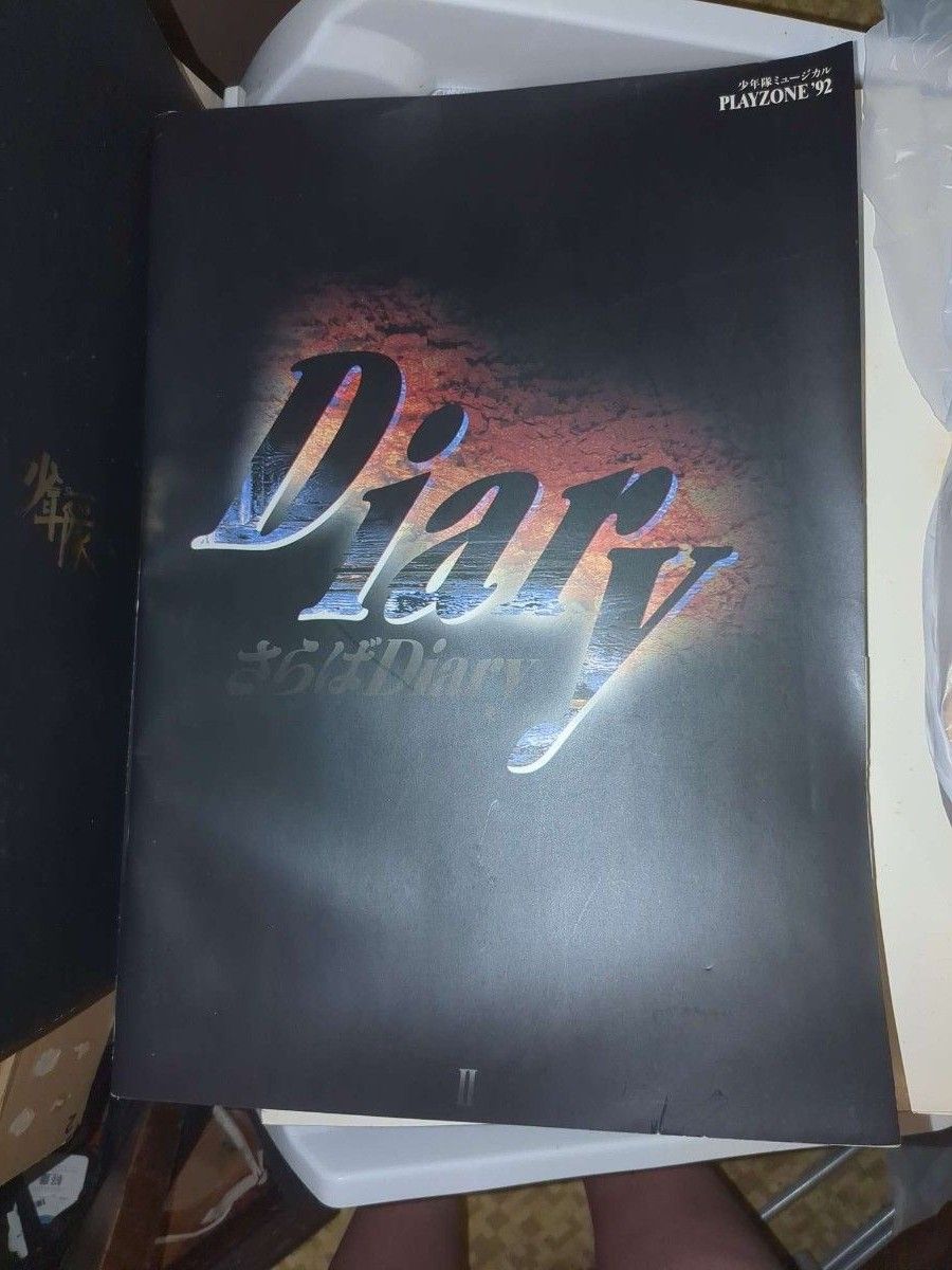PLAYZONE少年隊ミュージカルパンフレット Diary コレクターアイテム