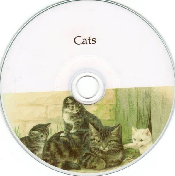 ビンテージ子猫ねこネコ 絵写真540画像集大量動物イラストgr素材 猫犬アニマル可愛い手書きハンドライティングキュート猫じゃらし歴史研究 最大90 オフ 猫犬アニマル可愛い手書きハンドライティングキュート猫じゃらし歴史研究 ビンテージ子猫ねこネコ 絵写真540画像集大量動物イラストgr素材 猫犬アニマル可愛い手書きハンドライティングキュート猫じゃらし歴史研究 最大90 オフ 猫犬アニマル可愛い手書きハンドライティングキュート猫じゃらし歴史研究