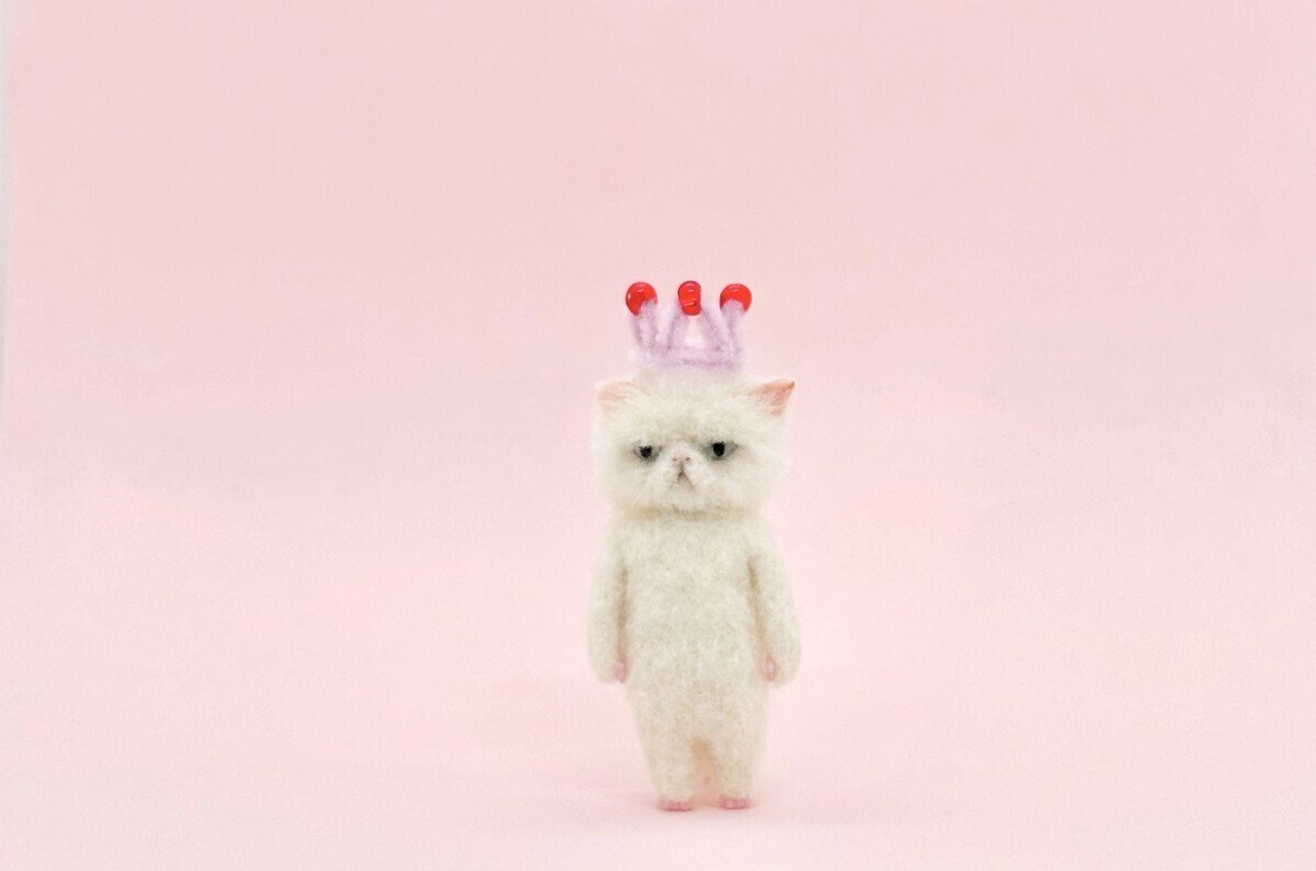 Yahoo!オークション - ねんね. エキゾチックショートヘア 白猫 Yahoo!オークション - ねんね. エキゾチックショートヘア 白猫