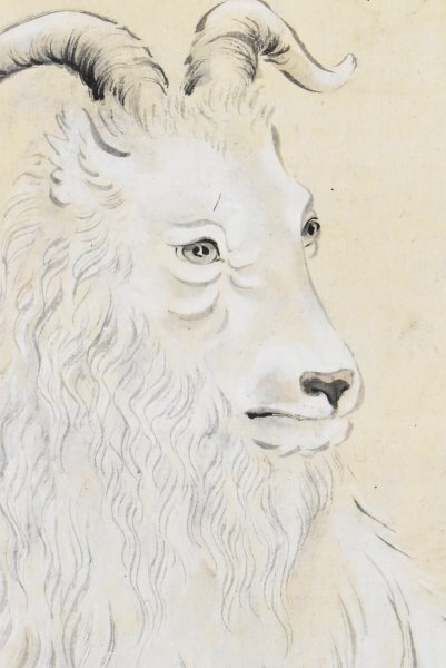 K4318 模写 竹内栖鳳 山羊 紙本 楳嶺四天王 幸野楳嶺 京都画壇 K4318 模写 竹内栖鳳 山羊 紙本 楳嶺四天王 幸野楳嶺 京都画壇