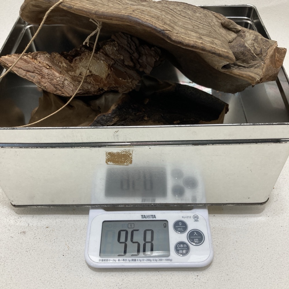 霊芝 さるのこしかけ 猿の腰掛け サルノコシカケ 漢方 煎茶飾り 霊芝 さるのこしかけ 猿の腰掛け サルノコシカケ 漢方 煎茶飾り